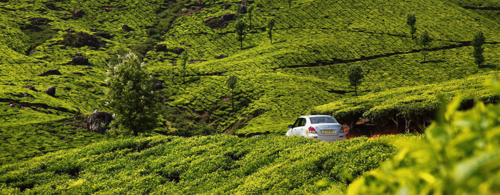 kerala-travel-package