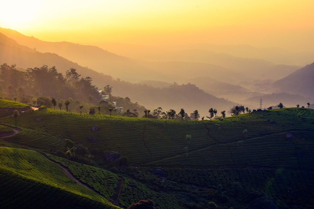 sunset in munnar\